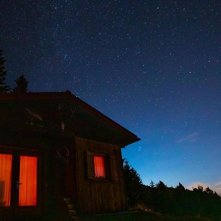 Chalet Petit Kanzelhohe Экстерьер фото