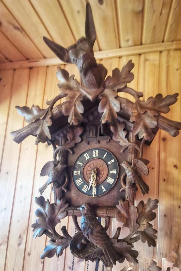 Chalet Petit Kanzelhohe Экстерьер фото