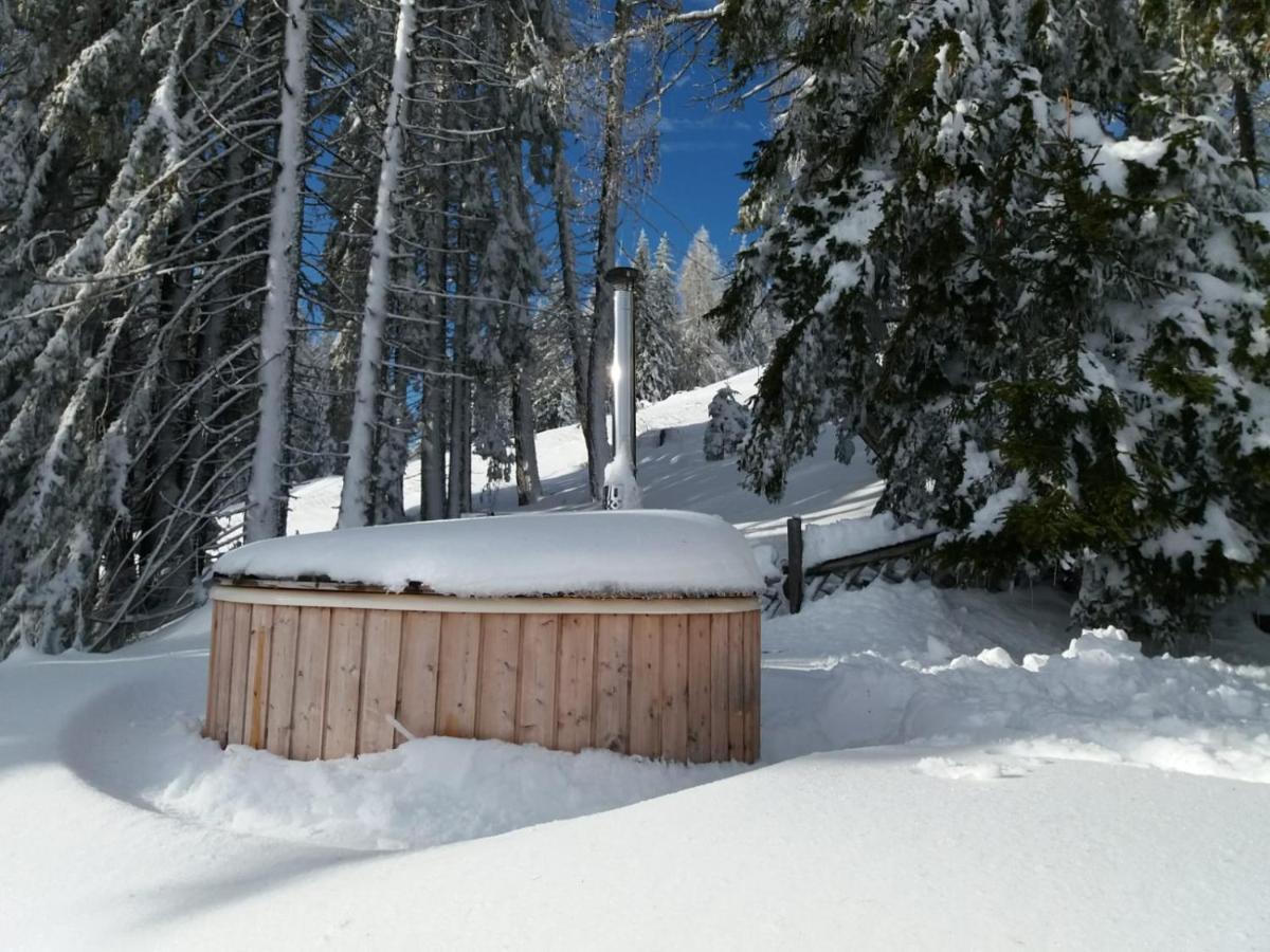 Chalet Petit Kanzelhohe Экстерьер фото