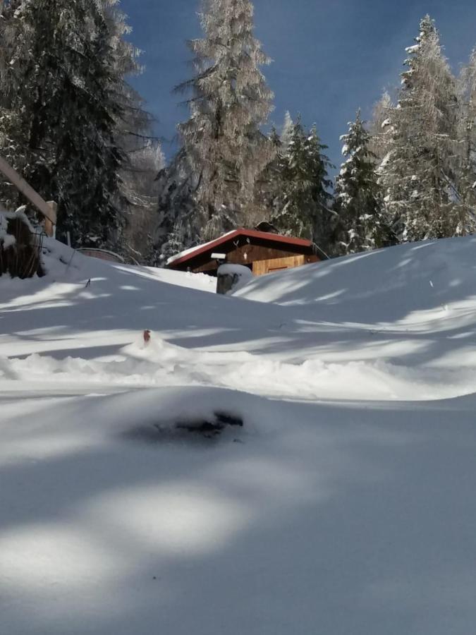Chalet Petit Kanzelhohe Экстерьер фото
